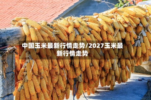 中国玉米最新行情走势/2027玉米最新行情走势-第2张图片