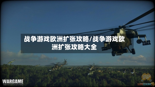 战争游戏欧洲扩张攻略/战争游戏欧洲扩张攻略大全-第3张图片