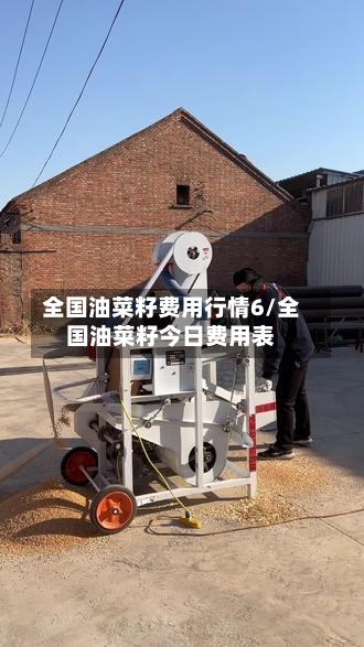 全国油菜籽费用行情6/全国油菜籽今日费用表-第2张图片