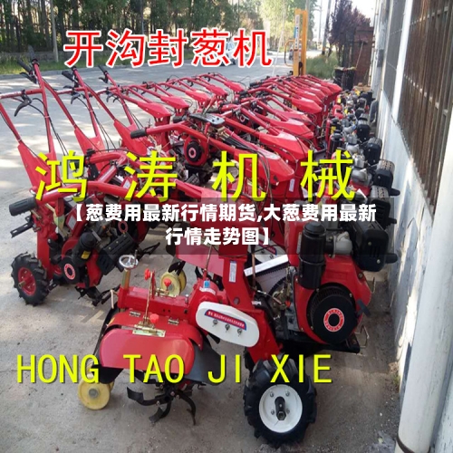 【葱费用最新行情期货,大葱费用最新行情走势图】