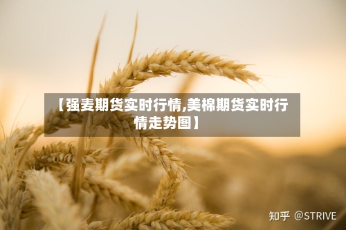 【强麦期货实时行情,美棉期货实时行情走势图】-第3张图片