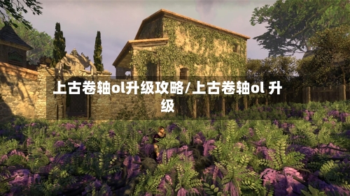 上古卷轴ol升级攻略/上古卷轴ol 升级-第2张图片