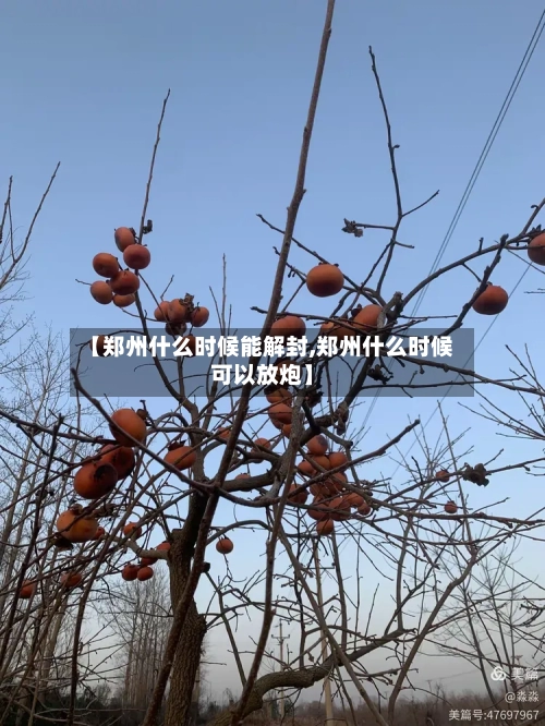【郑州什么时候能解封,郑州什么时候可以放炮】-第3张图片