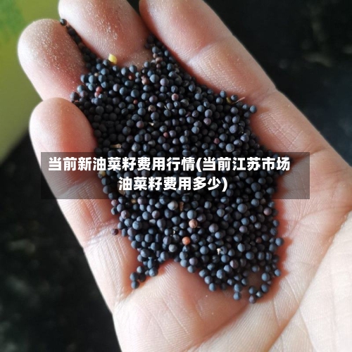 当前新油菜籽费用行情(当前江苏市场油菜籽费用多少)-第2张图片