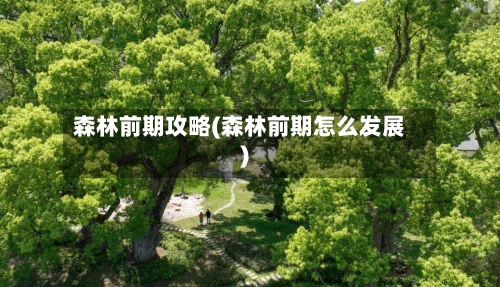 森林前期攻略(森林前期怎么发展)-第3张图片