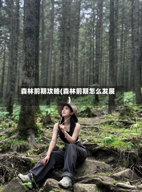 森林前期攻略(森林前期怎么发展)-第2张图片
