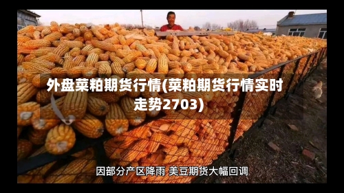 外盘菜粕期货行情(菜粕期货行情实时走势2703)-第3张图片