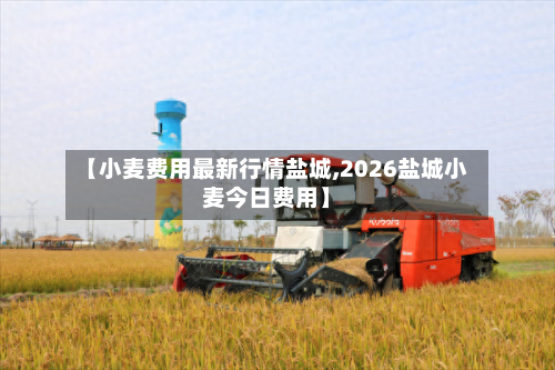 【小麦费用最新行情盐城,2026盐城小麦今日费用】