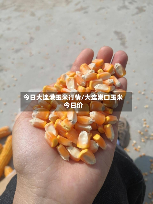 今日大连港玉米行情/大连港口玉米今日价
