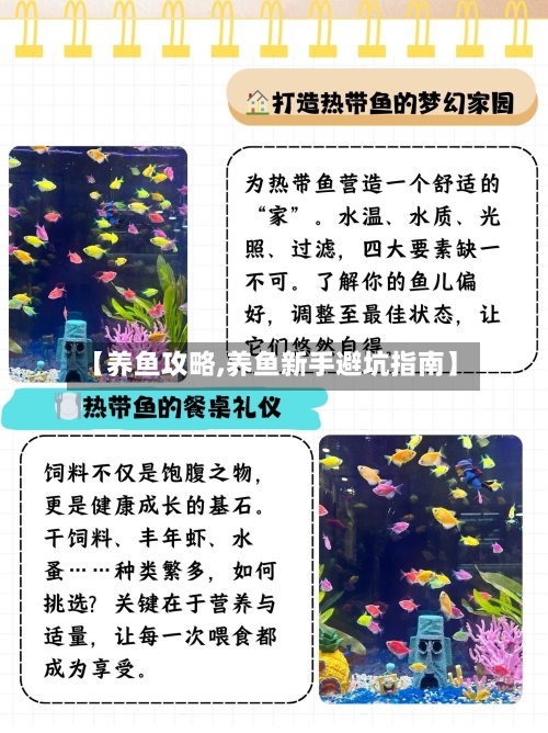【养鱼攻略,养鱼新手避坑指南】-第2张图片