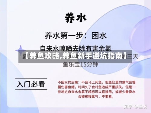 【养鱼攻略,养鱼新手避坑指南】-第3张图片