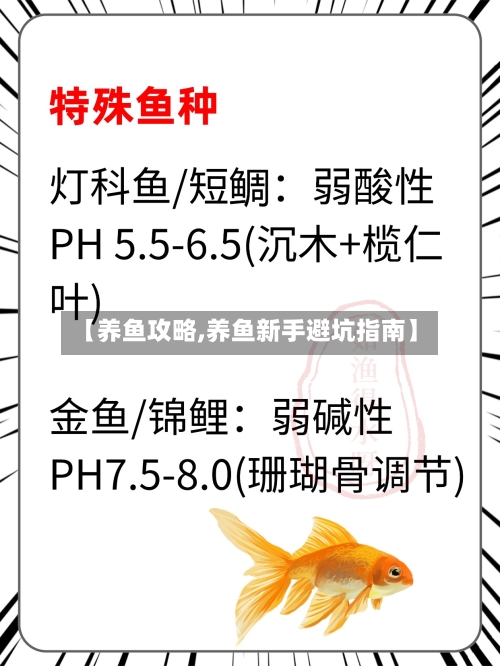 【养鱼攻略,养鱼新手避坑指南】