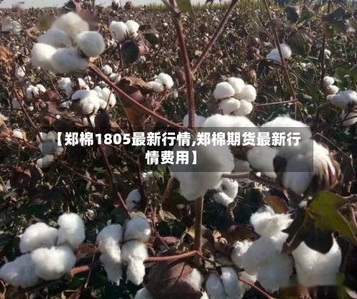 【郑棉1805最新行情,郑棉期货最新行情费用】-第2张图片