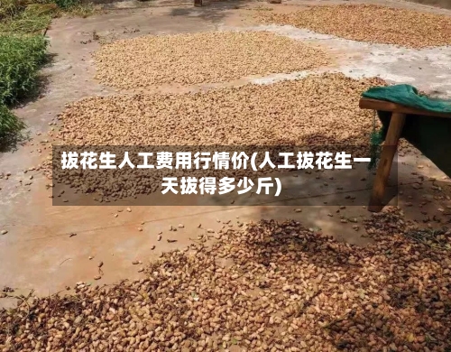 拔花生人工费用行情价(人工拔花生一天拔得多少斤)-第3张图片