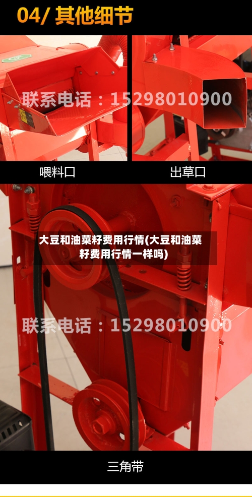 大豆和油菜籽费用行情(大豆和油菜籽费用行情一样吗)