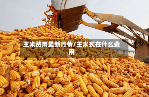 王米费用最新行情/王米现在什么费用-第3张图片