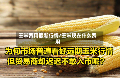 王米费用最新行情/王米现在什么费用