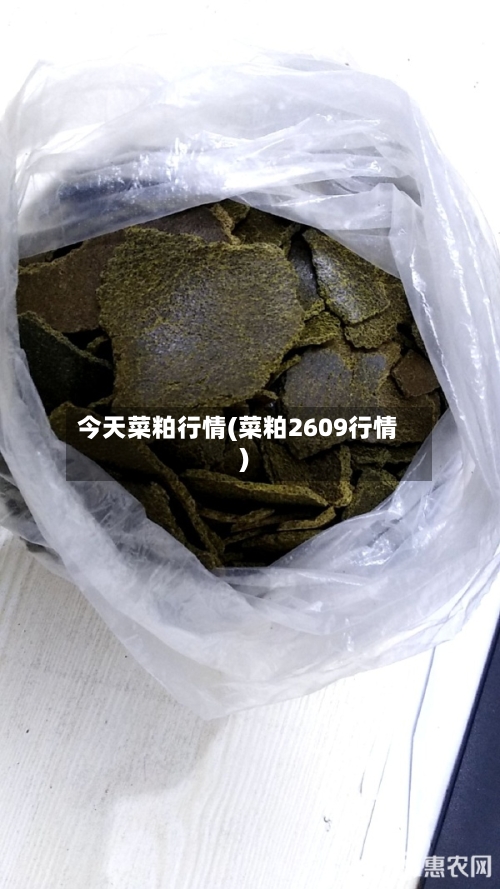 今天菜粕行情(菜粕2609行情)-第3张图片