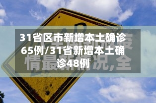 31省区市新增本土确诊65例/31省新增本土确诊48例