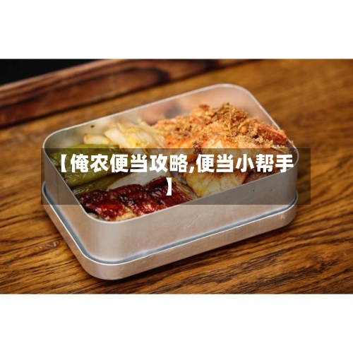 【俺农便当攻略,便当小帮手】-第2张图片