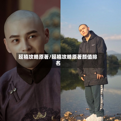 延禧攻略原著/延禧攻略原著颜值排名