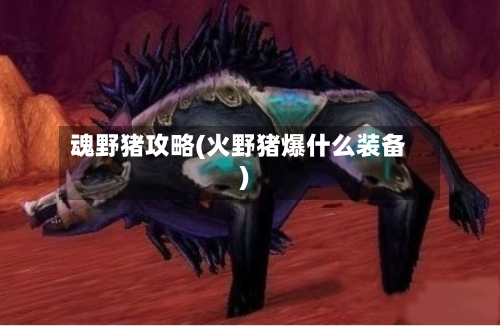 魂野猪攻略(火野猪爆什么装备)
