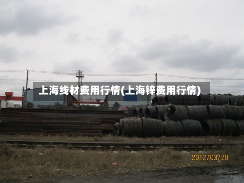 上海线材费用行情(上海锌费用行情)