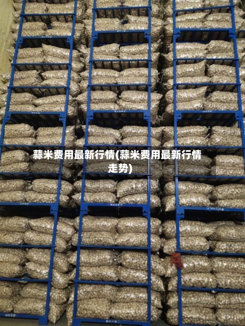 蒜米费用最新行情(蒜米费用最新行情走势)