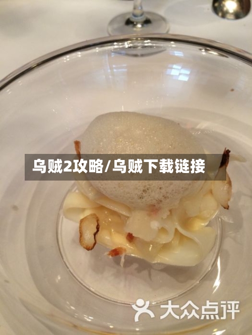 乌贼2攻略/乌贼下载链接