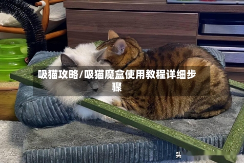 吸猫攻略/吸猫魔盒使用教程详细步骤-第2张图片