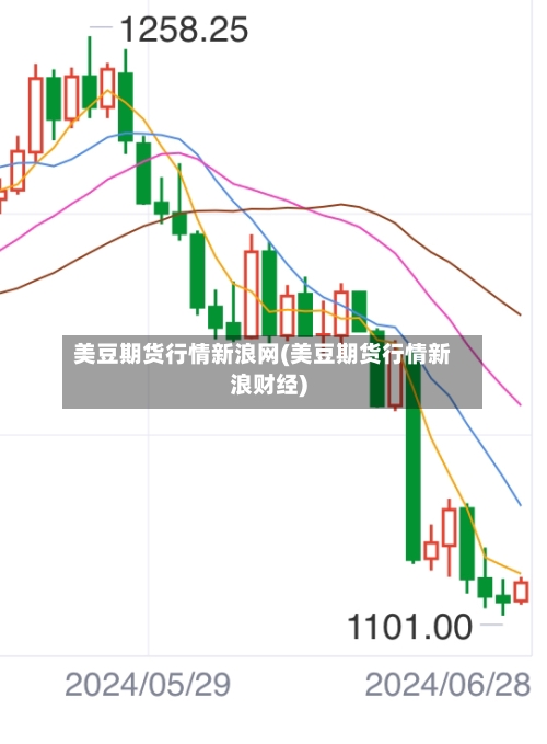 美豆期货行情新浪网(美豆期货行情新浪财经)-第3张图片