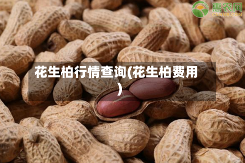 花生柏行情查询(花生柏费用)