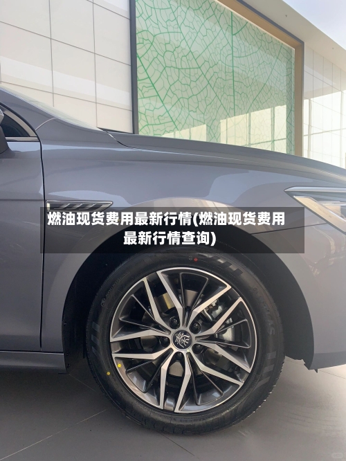 燃油现货费用最新行情(燃油现货费用最新行情查询)