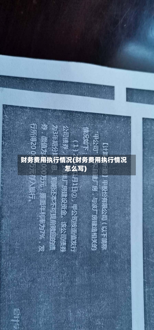 财务费用执行情况(财务费用执行情况怎么写)