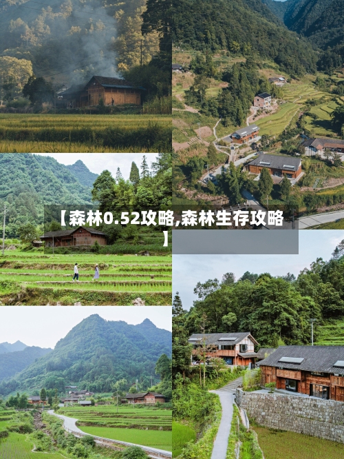 【森林0.52攻略,森林生存攻略】-第2张图片