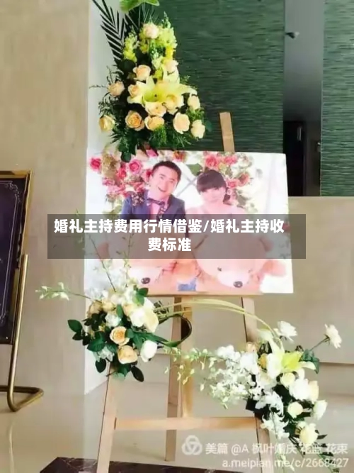 婚礼主持费用行情借鉴/婚礼主持收费标准-第2张图片