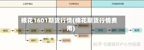 棉花1601期货行情(棉花期货行情费用)-第2张图片