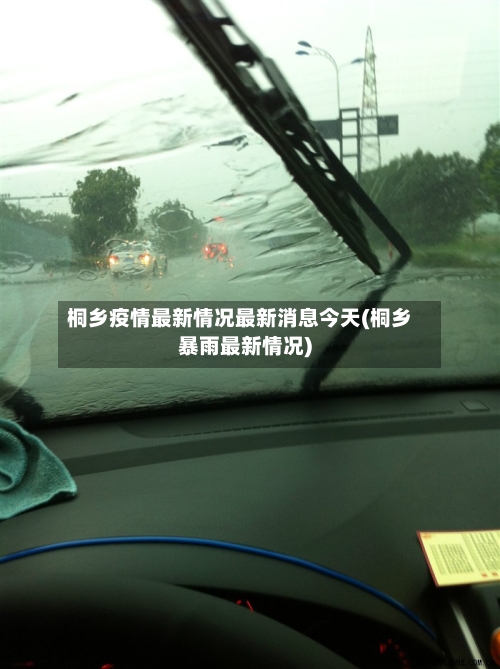 桐乡疫情最新情况最新消息今天(桐乡暴雨最新情况)