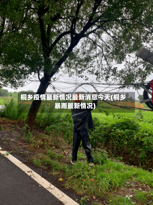 桐乡疫情最新情况最新消息今天(桐乡暴雨最新情况)-第2张图片