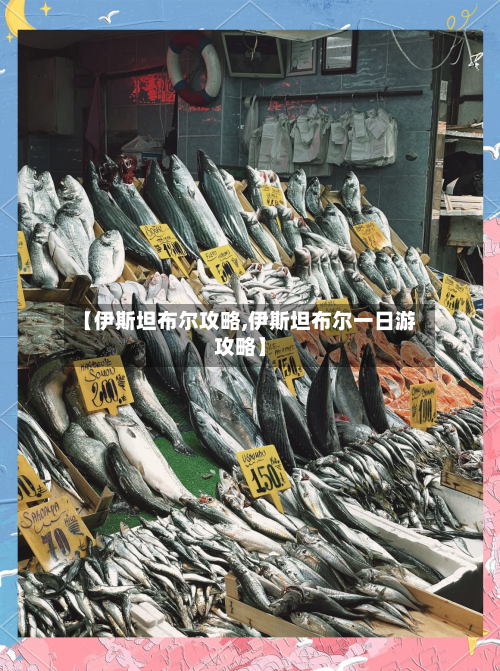 【伊斯坦布尔攻略,伊斯坦布尔一日游攻略】-第2张图片