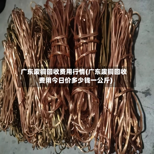 广东废铜回收费用行情(广东废铜回收费用今日价多少钱一公斤)-第3张图片