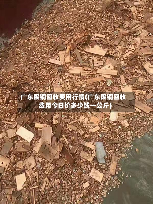 广东废铜回收费用行情(广东废铜回收费用今日价多少钱一公斤)