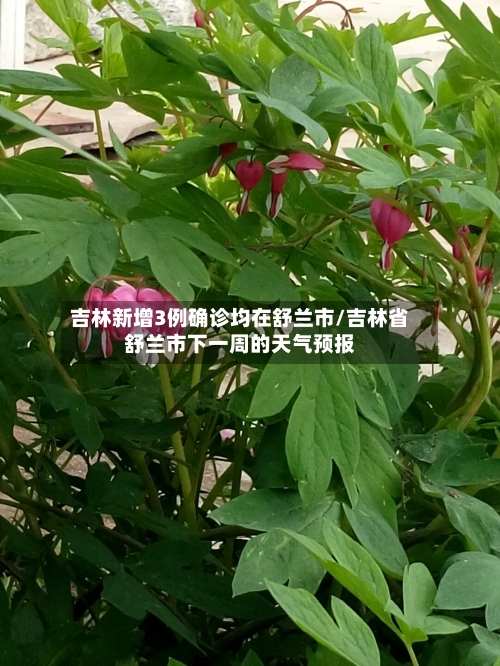 吉林新增3例确诊均在舒兰市/吉林省舒兰市下一周的天气预报