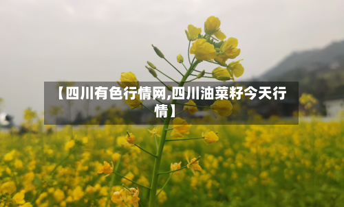 【四川有色行情网,四川油菜籽今天行情】