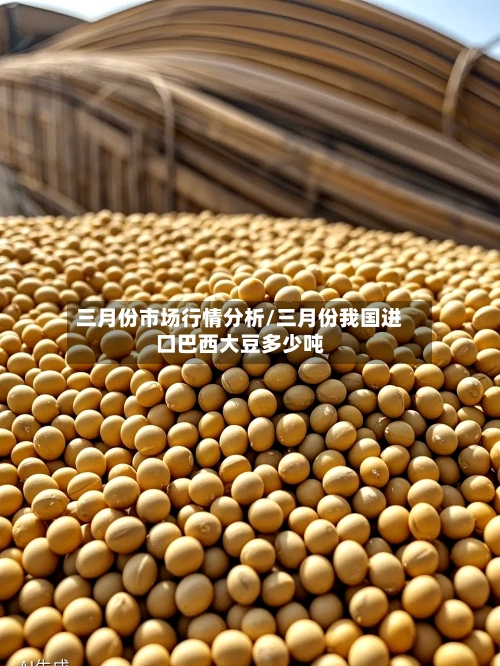 三月份市场行情分析/三月份我国进口巴西大豆多少吨-第2张图片