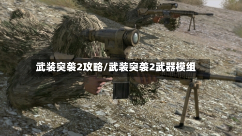 武装突袭2攻略/武装突袭2武器模组