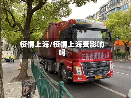 疫情上海/疫情上海受影响吗-第3张图片