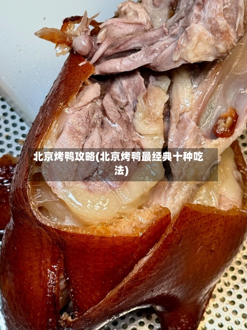 北京烤鸭攻略(北京烤鸭最经典十种吃法)-第3张图片