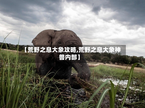 【荒野之息大象攻略,荒野之息大象神兽内部】-第1张图片