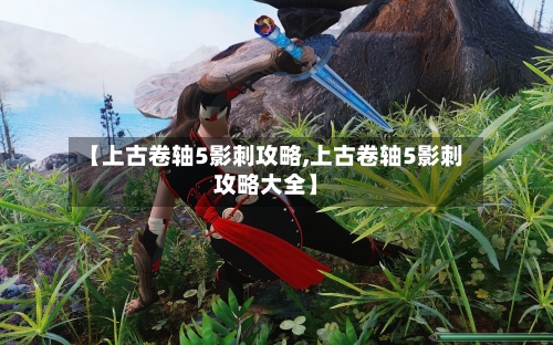 【上古卷轴5影刺攻略,上古卷轴5影刺攻略大全】